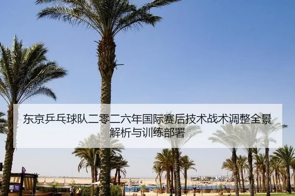 东京乒乓球队二零二六年国际赛后技术战术调整全景解析与训练部署