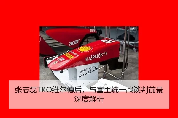 张志磊TKO维尔德后，与富里统一战谈判前景深度解析
